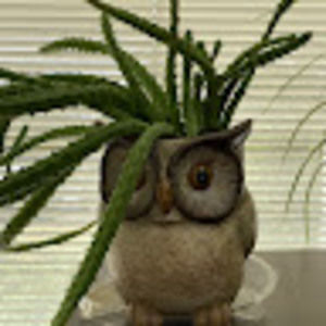 Meet your Posher, Deborah